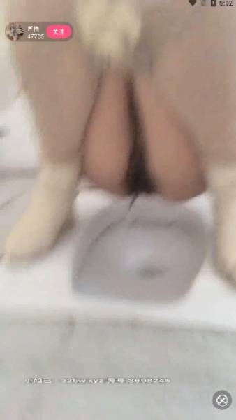 恬淡如雅两部【百度云】【530M】