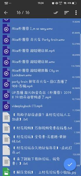 [合集] 韩国朴惠恩 定制舞蹈视频（10V154M）（百度云永久有效）
