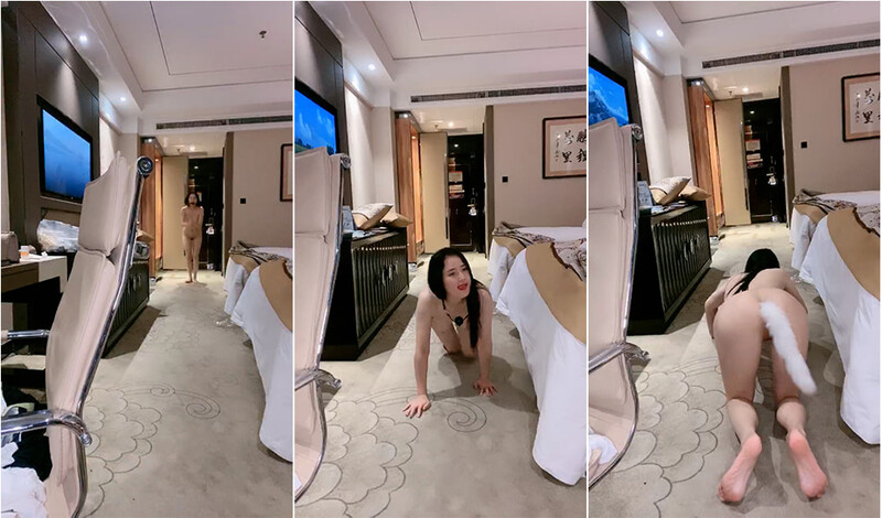 給老子爬過來,酒店調教氣質小姐姐,插著肛塞尾巴母狗壹樣爬行吃J8