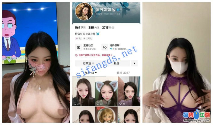 【抖音福利】【43岁大娘/榴莲/少妇有点意思/紫苏姐姐】24V[某房原版]【502.96 M】