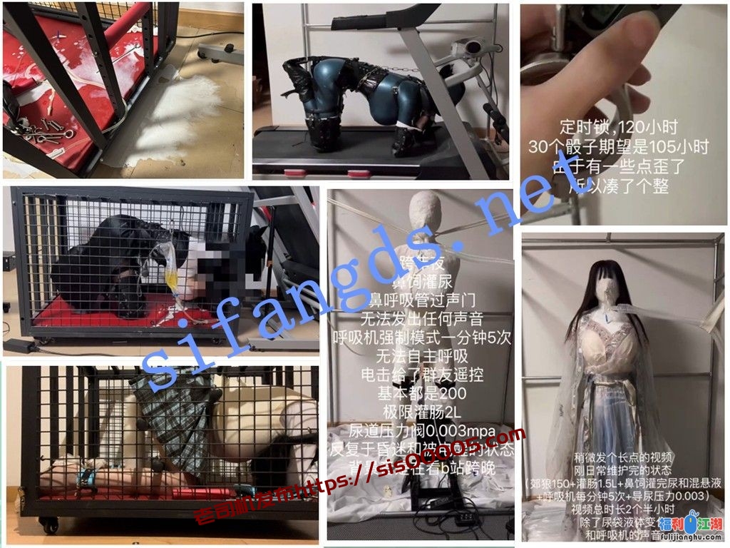 ⭐国产cc极限郊狼电击放置⭐炮击 导尿 高潮控制 排泄控制[某房原版]【1G】