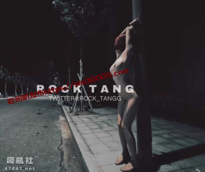 白虎抖m RockTangg车厢调教 [1v/32p/400m][百度盘]