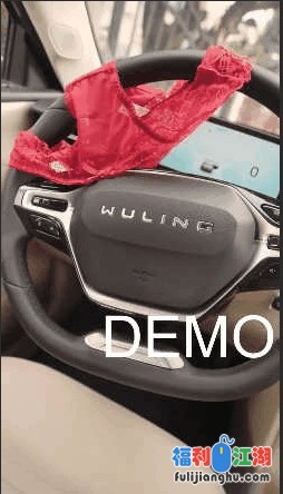 【吃瓜】之前火的五菱demo视频 4V 57M